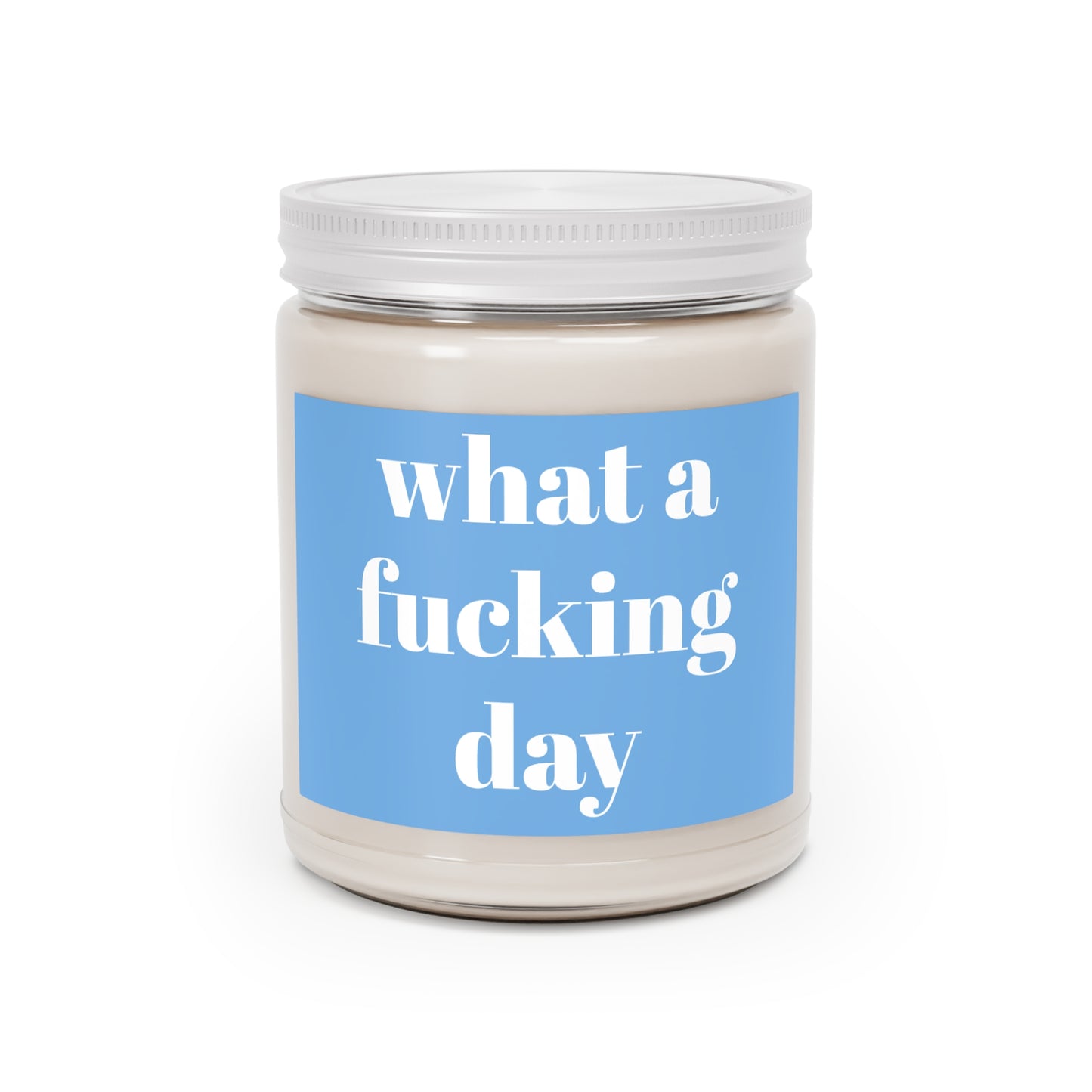 What a Day Funny Friendship Candle Gift Best Friend Gift Long Distance Gift Funny Candle Gag Gift Premium Coconut Soy Candle