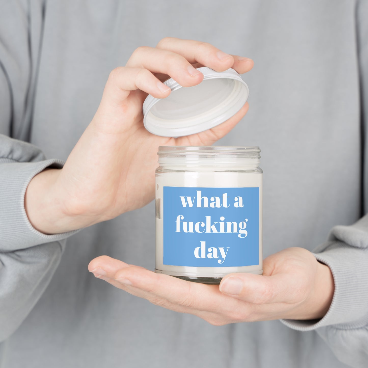 What a Day Funny Friendship Candle Gift Best Friend Gift Long Distance Gift Funny Candle Gag Gift Premium Coconut Soy Candle